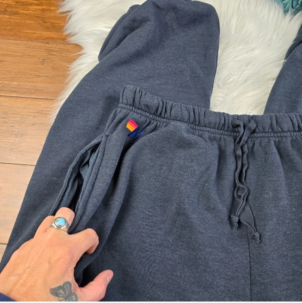 Aviator Nation 5 Stripe Jogger Mens Sweatpants XXL